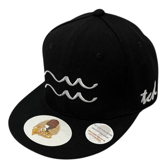 Aquarius Horoscope Black Baseball Hat - The Cap Dudes - Front View