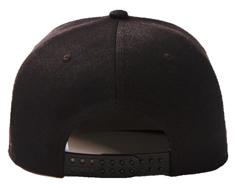 Charles Darwin Baseball Hat - The Cap Dudes - Back View