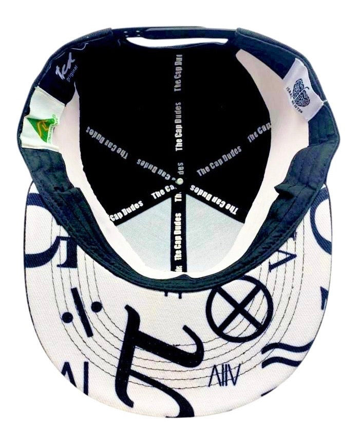 Isaac Newton Baseball Hat - Under Brim - The Cap Dudes