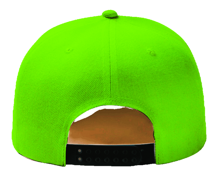 Light Green Baseball Hat-Double Snapback 9Fifty Style-The Cap Dudes-Back View