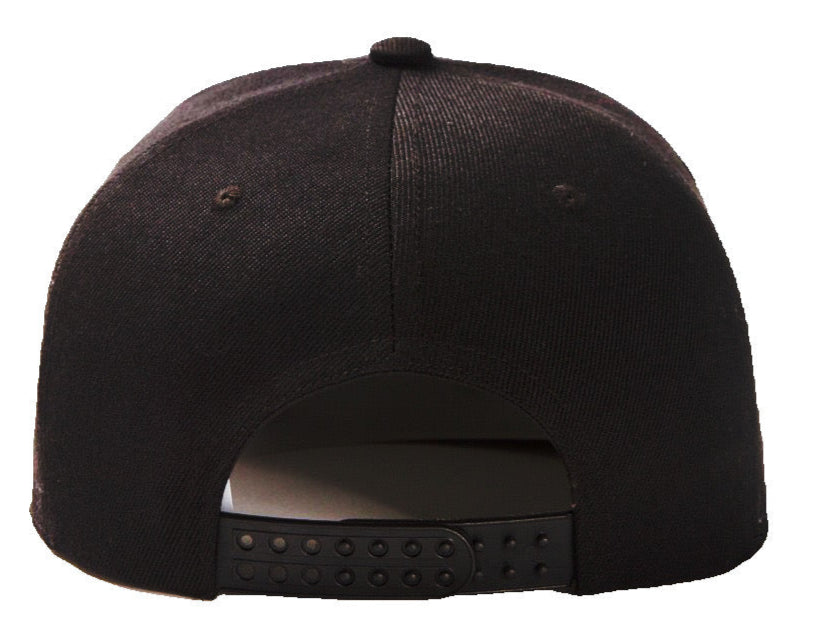 Newton Baseball Hat - The Cap Dudes - Back View