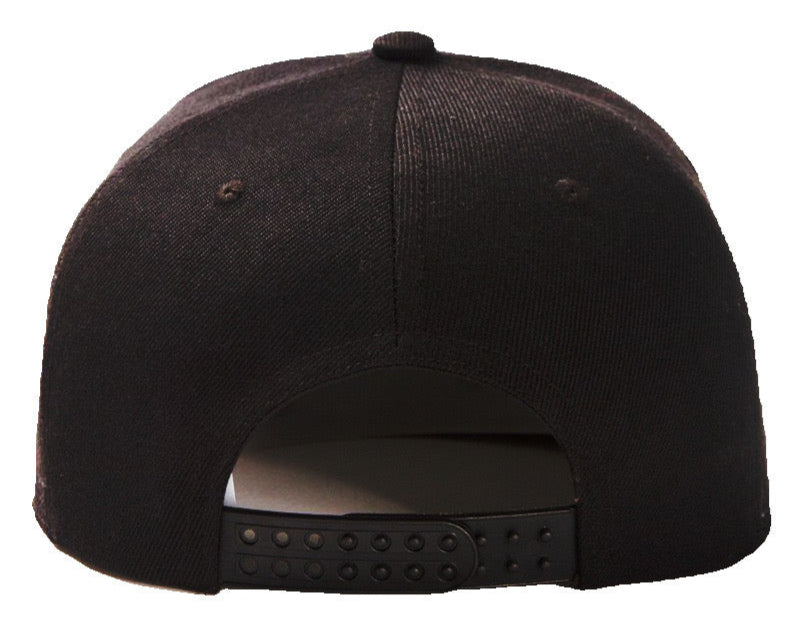 Nikola Tesla Black Baseball Hat - The Cap Dudes - Back View