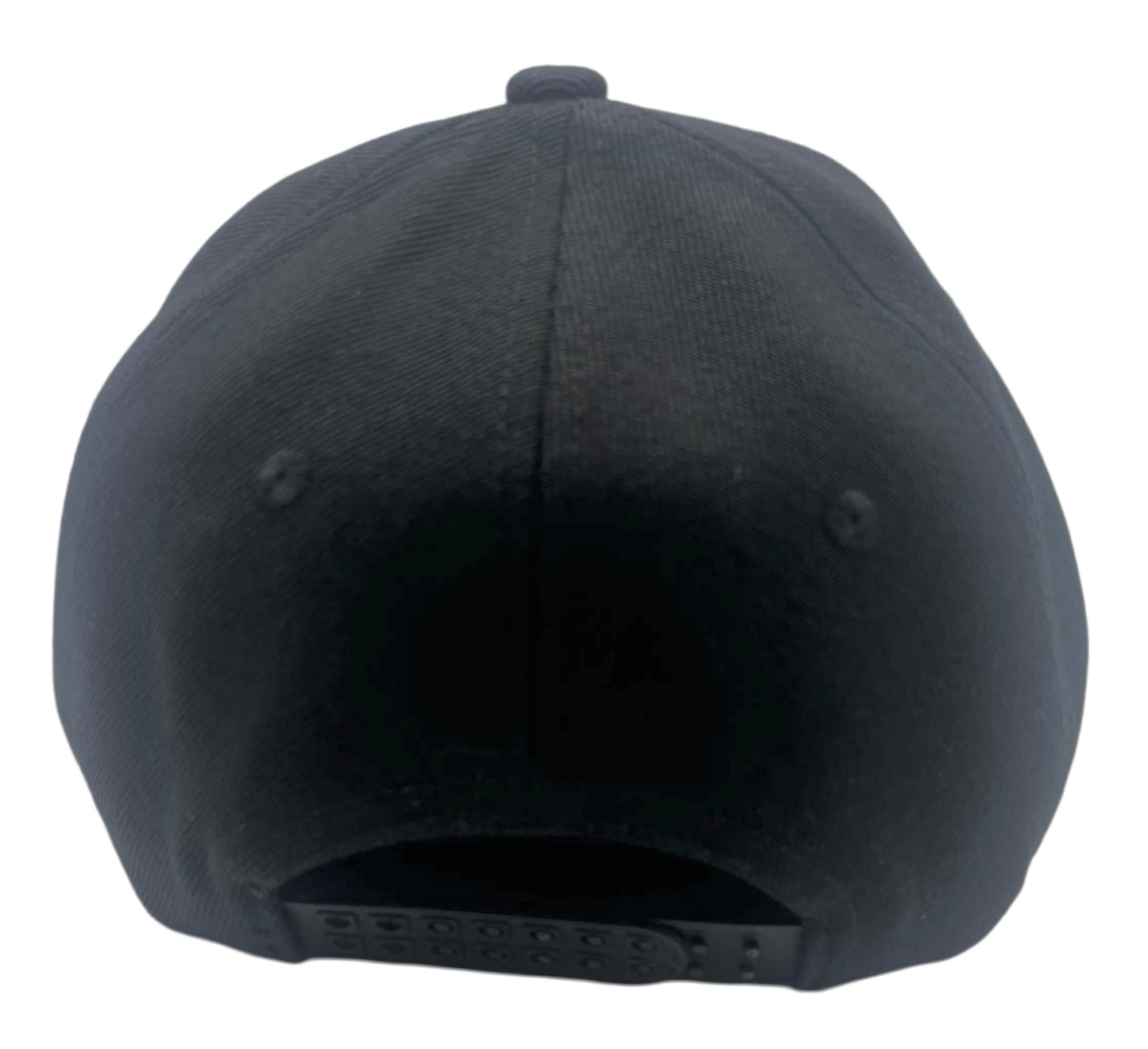 Pisces Baseball Hat - Back View - The Cap Dudes