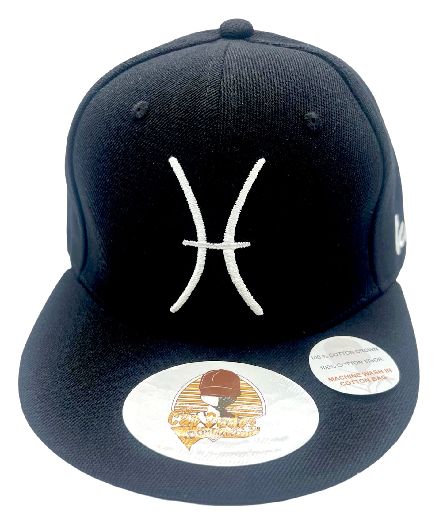 Pisces Baseball Hat - Front View - The Cap Dudes