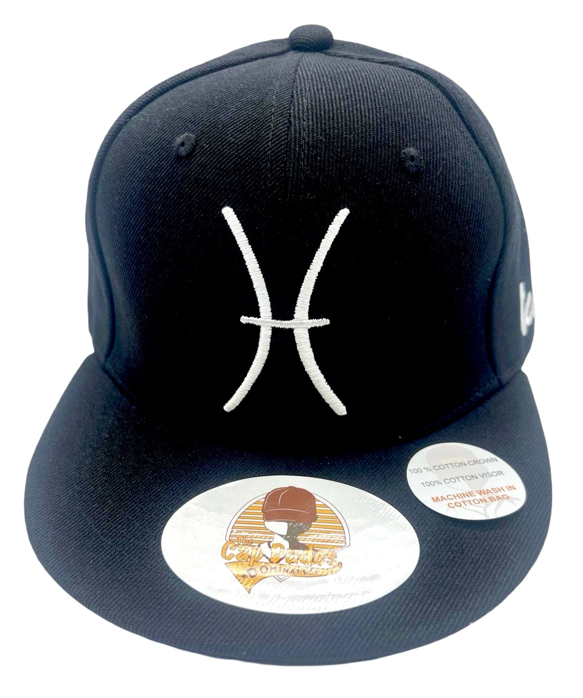 Pisces Baseball Hat - Front View - The Cap Dudes