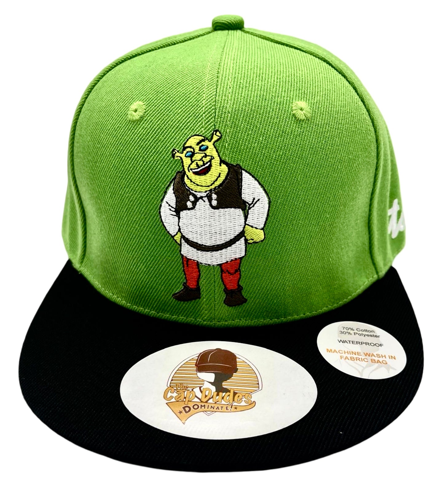 Shrek Baseball Hat - Front View - The Cap Dudes