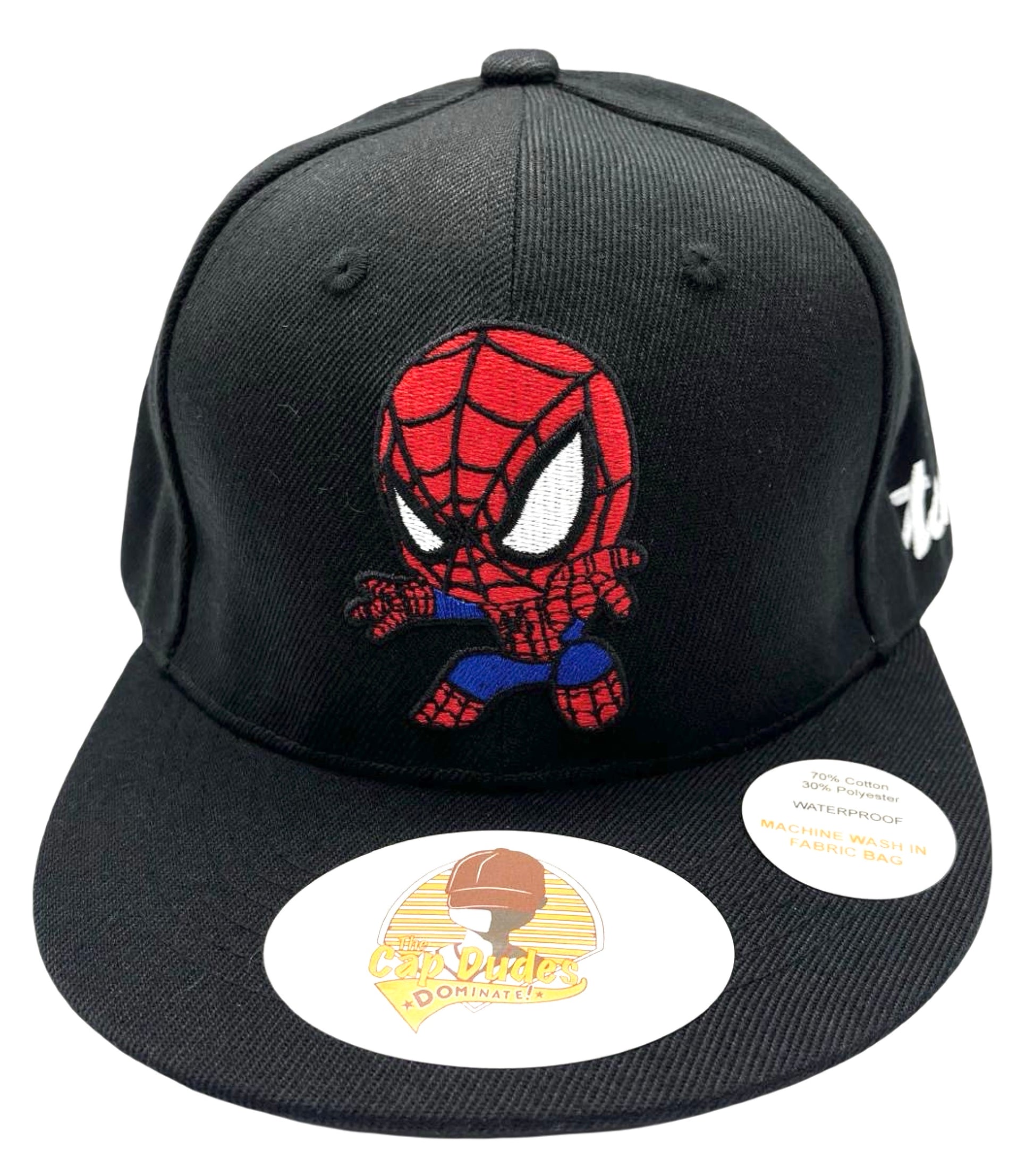 Spider Man Baseball Hat - Front View - The Cap Dudes