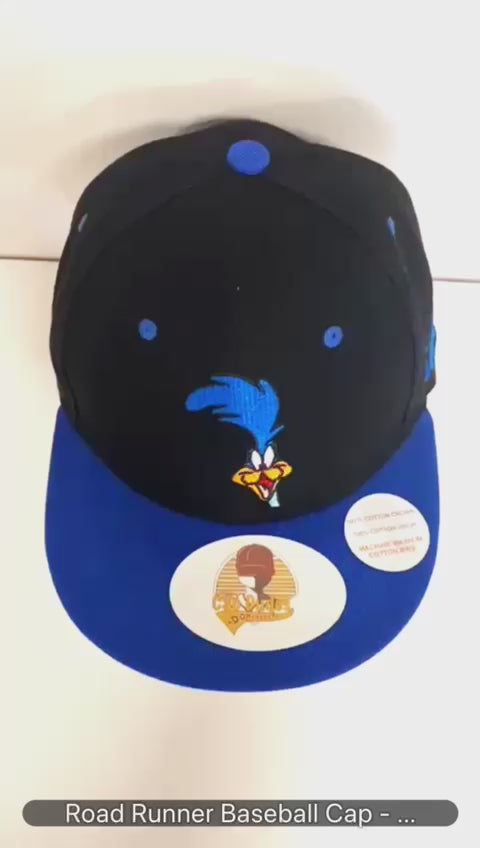 Road Runner Looney Tunes Baseball Cap Video - The Cap Dudes