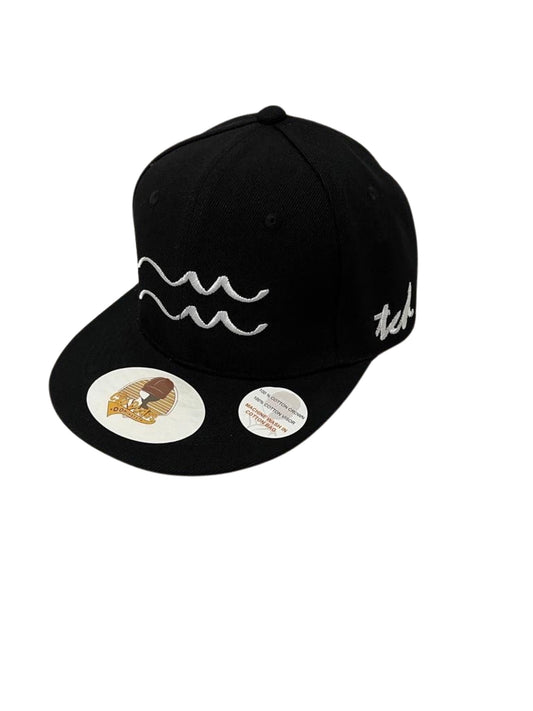 Aquarius Horoscope Baseball Hat - The Cap Dudes