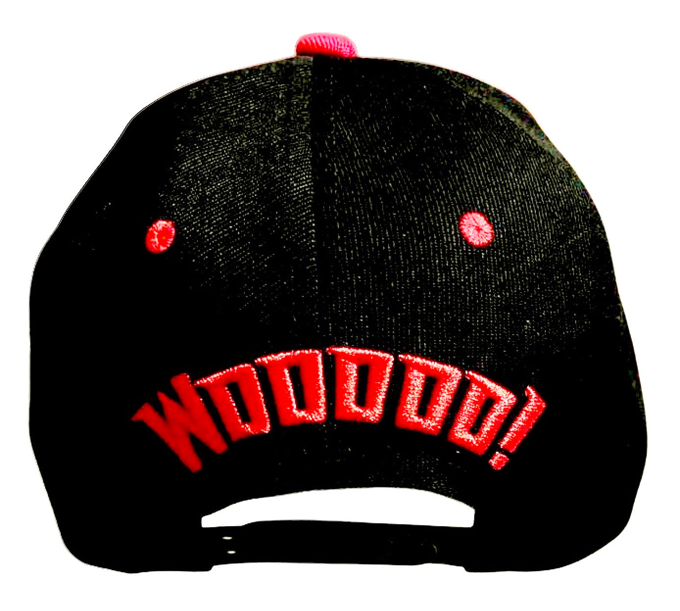WWE Ric Flair Baseball Hat - Back View - The Cap Dudes