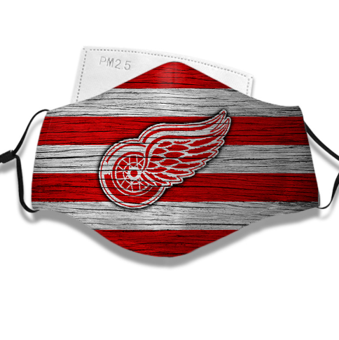 Sport - Detroit Red Wings Face Mask - National Hockey League NHL
